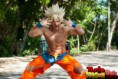 /album/cosplay-dragon-ball/ssj2-goku-cosplay-6-by-ssj4theo-d51s4xa-jpg/