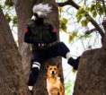/album/naruto-cosplay/kakashi-and-the-dog-by-o-mochi-pro-jpg/
